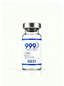 SS31